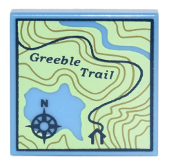 Part 3068pb1011 - Tile 2 x 2 with Map Topographical Trail with Compass Rose and 'Greeble Trail' Pattern - De BrickPlaats
