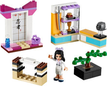 Set 41002 - Emma's Karate Class - De BrickPlaats