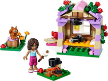 Set 41031 - Andrea's Mountain Hut - De BrickPlaats