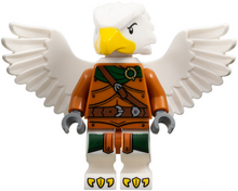 Minifig coldnd06