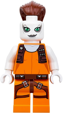 Minifig sw0306