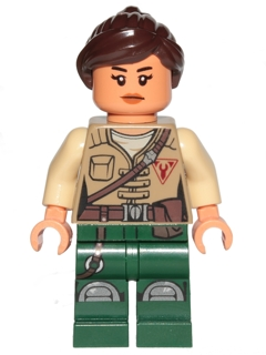 Minifig sw0848